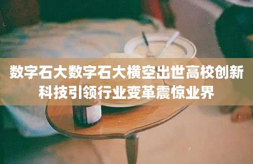 数字石大数字石大横空出世高校创新科技引领行业变革震惊业界