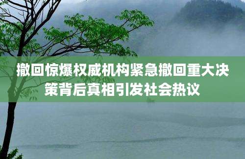 撤回惊爆权威机构紧急撤回重大决策背后真相引发社会热议