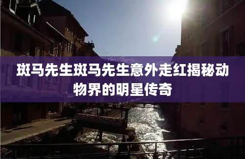 斑马先生斑马先生意外走红揭秘动物界的明星传奇