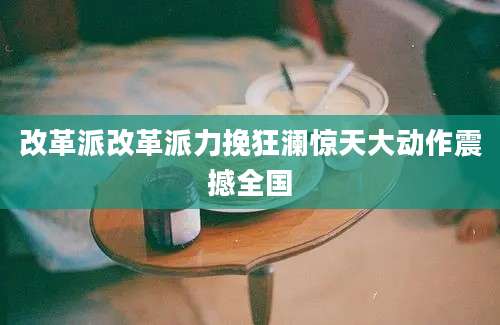 改革派改革派力挽狂澜惊天大动作震撼全国