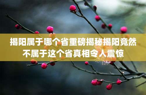 揭阳属于哪个省重磅揭秘揭阳竟然不属于这个省真相令人震惊