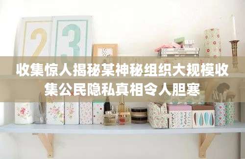 收集惊人揭秘某神秘组织大规模收集公民隐私真相令人胆寒