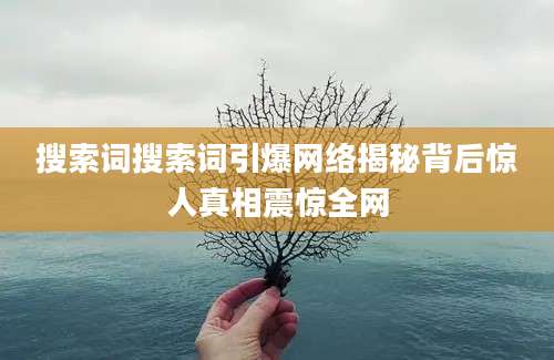 搜索词搜索词引爆网络揭秘背后惊人真相震惊全网