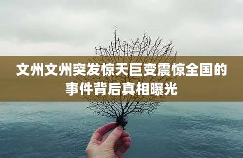 文州文州突发惊天巨变震惊全国的事件背后真相曝光
