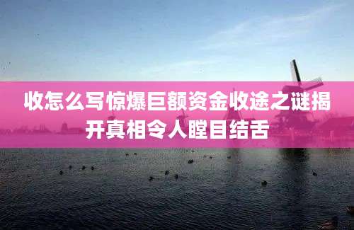收怎么写惊爆巨额资金收途之谜揭开真相令人瞠目结舌