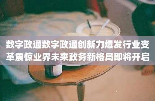 数字政通数字政通创新力爆发行业变革震惊业界未来政务新格局即将开启