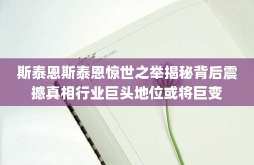 斯泰恩斯泰恩惊世之举揭秘背后震撼真相行业巨头地位或将巨变
