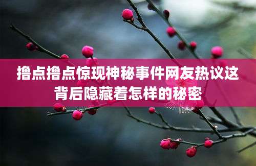 撸点撸点惊现神秘事件网友热议这背后隐藏着怎样的秘密
