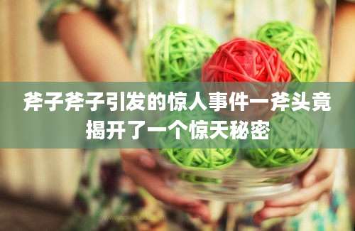 斧子斧子引发的惊人事件一斧头竟揭开了一个惊天秘密