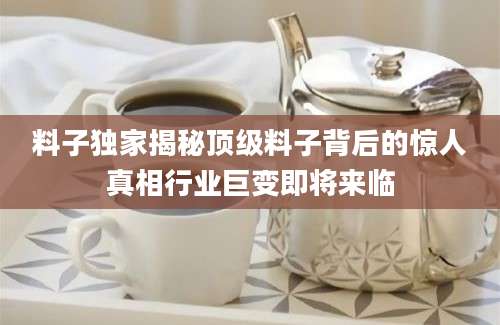 料子独家揭秘顶级料子背后的惊人真相行业巨变即将来临
