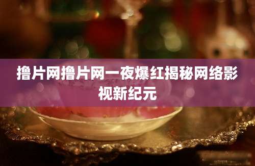 撸片网撸片网一夜爆红揭秘网络影视新纪元