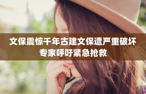 文保震惊千年古建文保遭严重破坏专家呼吁紧急抢救