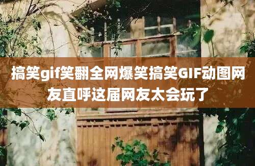 搞笑gif笑翻全网爆笑搞笑GIF动图网友直呼这届网友太会玩了