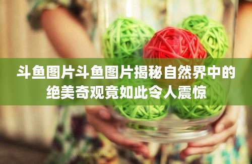 斗鱼图片斗鱼图片揭秘自然界中的绝美奇观竟如此令人震惊