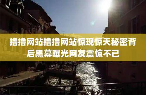 撸撸网站撸撸网站惊现惊天秘密背后黑幕曝光网友震惊不已
