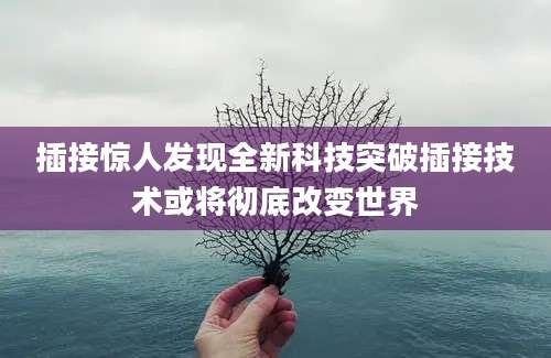 插接惊人发现全新科技突破插接技术或将彻底改变世界