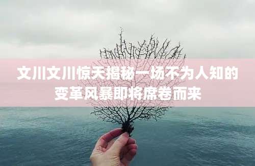 文川文川惊天揭秘一场不为人知的变革风暴即将席卷而来