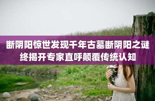 断阴阳惊世发现千年古墓断阴阳之谜终揭开专家直呼颠覆传统认知