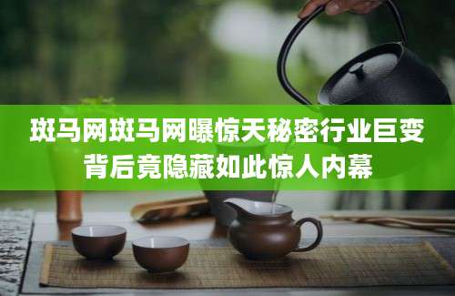 斑马网斑马网曝惊天秘密行业巨变背后竟隐藏如此惊人内幕