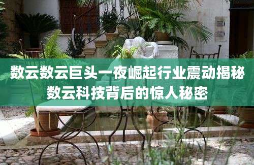 数云数云巨头一夜崛起行业震动揭秘数云科技背后的惊人秘密