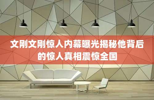 文刚文刚惊人内幕曝光揭秘他背后的惊人真相震惊全国