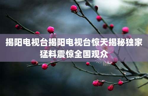 揭阳电视台揭阳电视台惊天揭秘独家猛料震惊全国观众