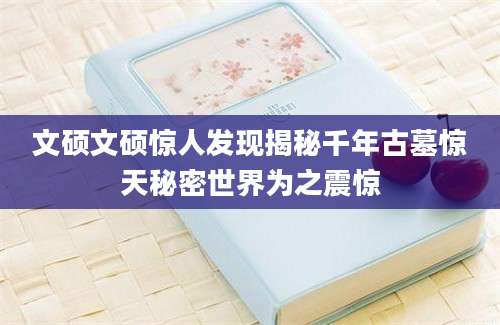 文硕文硕惊人发现揭秘千年古墓惊天秘密世界为之震惊