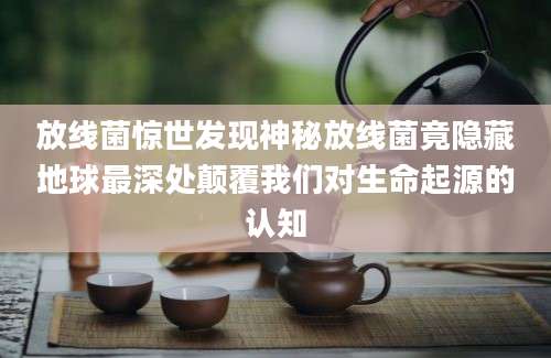 放线菌惊世发现神秘放线菌竟隐藏地球最深处颠覆我们对生命起源的认知