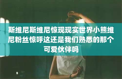 斯维尼斯维尼惊现现实世界小熊维尼粉丝惊呼这还是我们熟悉的那个可爱伙伴吗