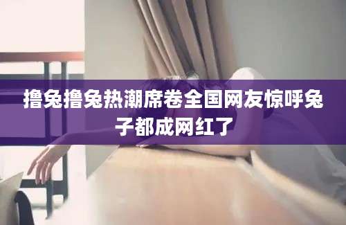 撸兔撸兔热潮席卷全国网友惊呼兔子都成网红了