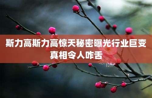 斯力高斯力高惊天秘密曝光行业巨变真相令人咋舌