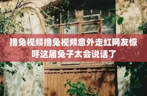 撸兔视频撸兔视频意外走红网友惊呼这届兔子太会说话了