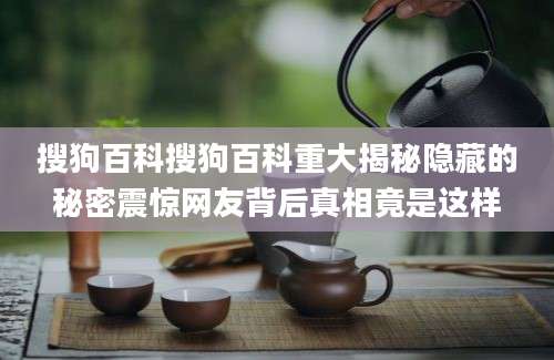 搜狗百科搜狗百科重大揭秘隐藏的秘密震惊网友背后真相竟是这样