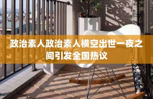 政治素人政治素人横空出世一夜之间引发全国热议