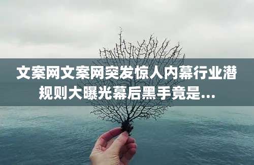 文案网文案网突发惊人内幕行业潜规则大曝光幕后黑手竟是...