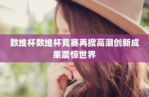 数维杯数维杯竞赛再掀高潮创新成果震惊世界