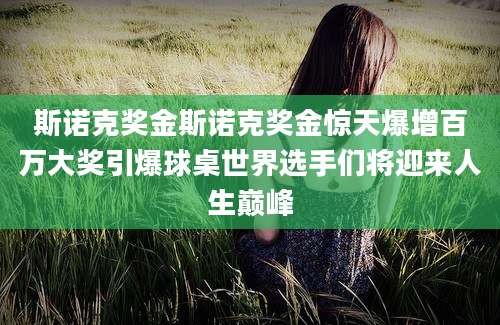 斯诺克奖金斯诺克奖金惊天爆增百万大奖引爆球桌世界选手们将迎来人生巅峰
