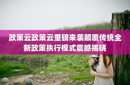 政策云政策云重磅来袭颠覆传统全新政策执行模式震撼揭晓