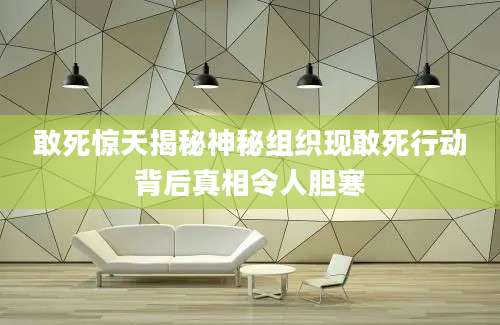 敢死惊天揭秘神秘组织现敢死行动背后真相令人胆寒