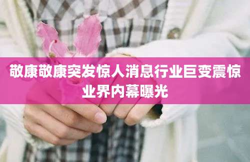 敬康敬康突发惊人消息行业巨变震惊业界内幕曝光