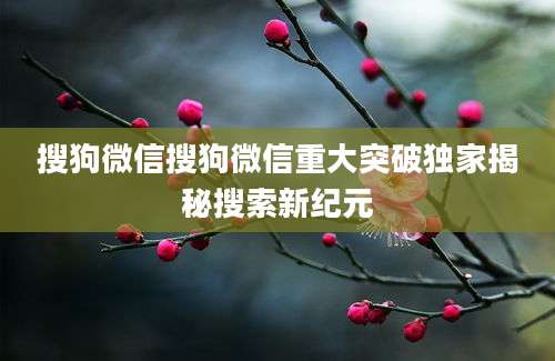 搜狗微信搜狗微信重大突破独家揭秘搜索新纪元