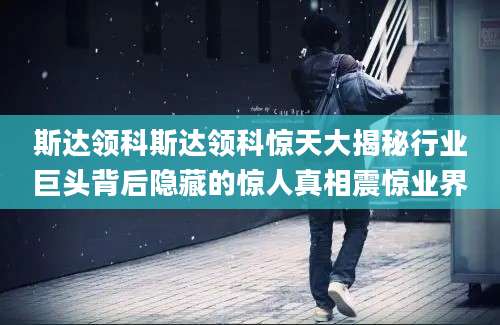 斯达领科斯达领科惊天大揭秘行业巨头背后隐藏的惊人真相震惊业界