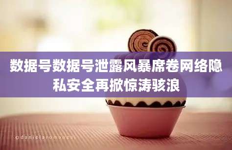 数据号数据号泄露风暴席卷网络隐私安全再掀惊涛骇浪