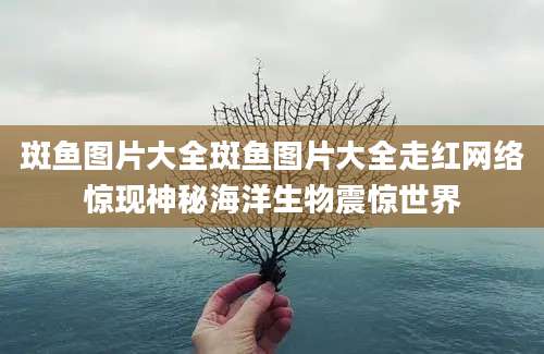 斑鱼图片大全斑鱼图片大全走红网络惊现神秘海洋生物震惊世界