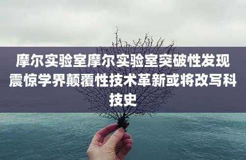 摩尔实验室摩尔实验室突破性发现震惊学界颠覆性技术革新或将改写科技史