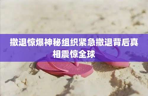 撤退惊爆神秘组织紧急撤退背后真相震惊全球