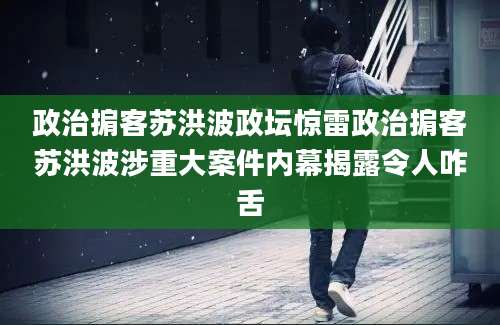 政治掮客苏洪波政坛惊雷政治掮客苏洪波涉重大案件内幕揭露令人咋舌