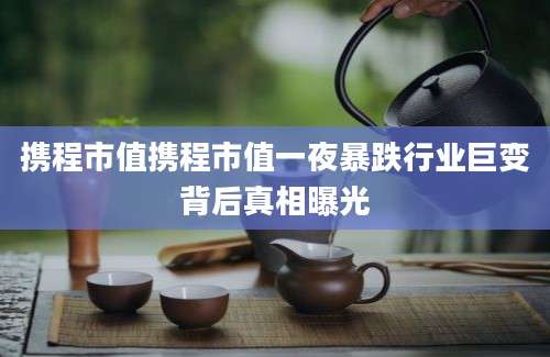 携程市值携程市值一夜暴跌行业巨变背后真相曝光