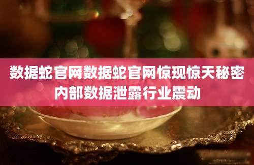 数据蛇官网数据蛇官网惊现惊天秘密内部数据泄露行业震动