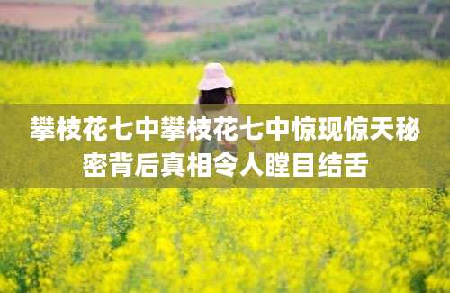 攀枝花七中攀枝花七中惊现惊天秘密背后真相令人瞠目结舌